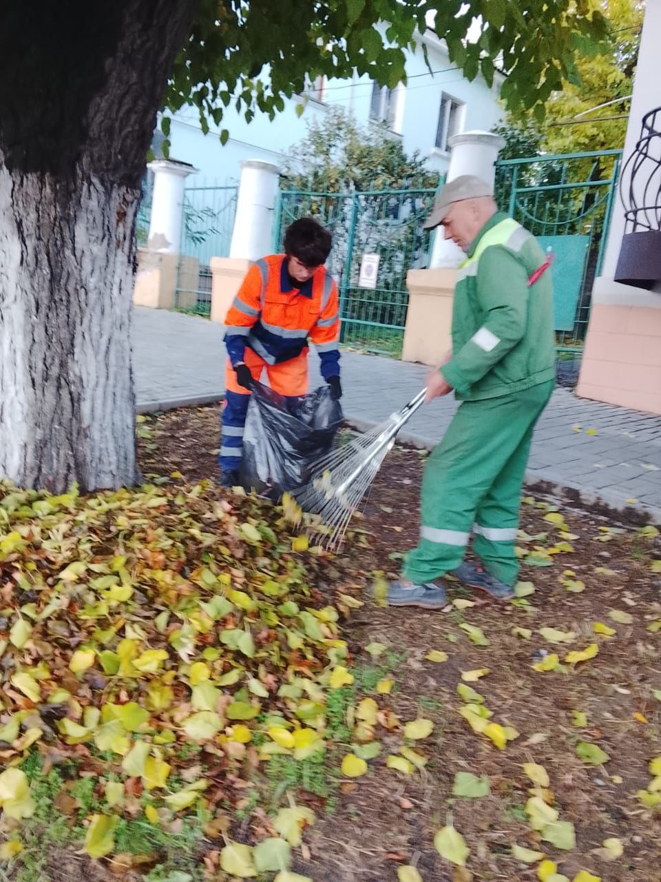 Осень все активнее вступает в свои права, а это значит, что основным работам по содержанию городских территорий у работников МБУ "Городское благоустройство" прибавилась уборка опавшей листвы Осень все активнее вступает в свои права, а это значит, что основным работам по содержанию городских территорий у работников МБУ "Городское благоустройство" прибавилась уборка опавшей листвы