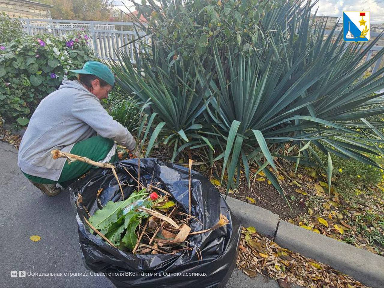 Ухаживаем за зелеными территориями Ухаживаем за зелеными территориями