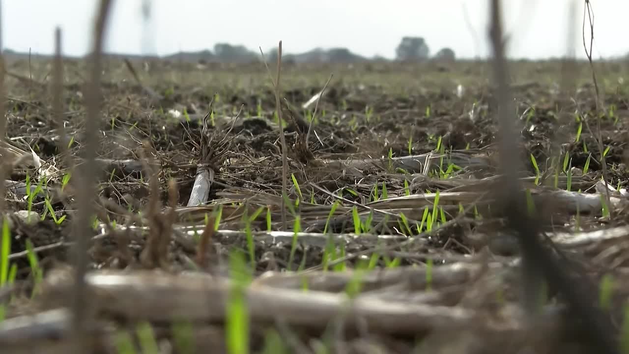 Посевная кампания 2026 года уже завершена более, чем на 65%