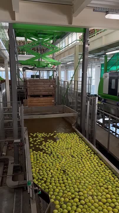 Крымские фермеры в этом году собрали более 25 тыс