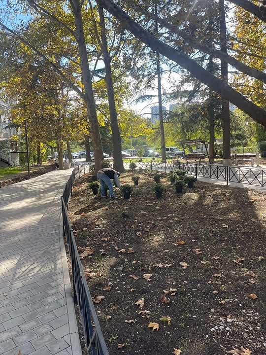 Галина Огнёва: Продолжаем озеленять любимую Алушту!