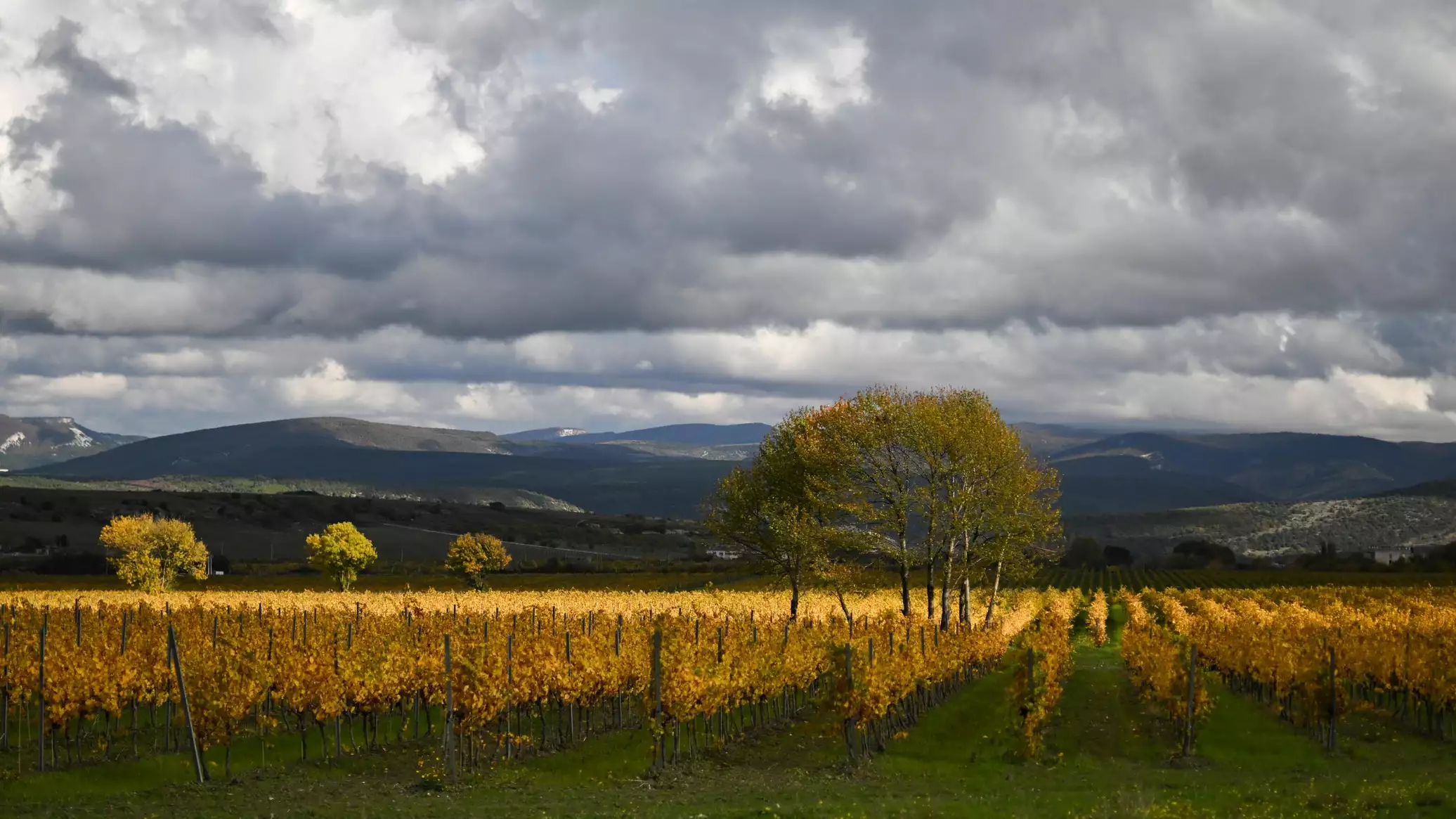 Золото, бронза и медь: цвета осени в Крыму