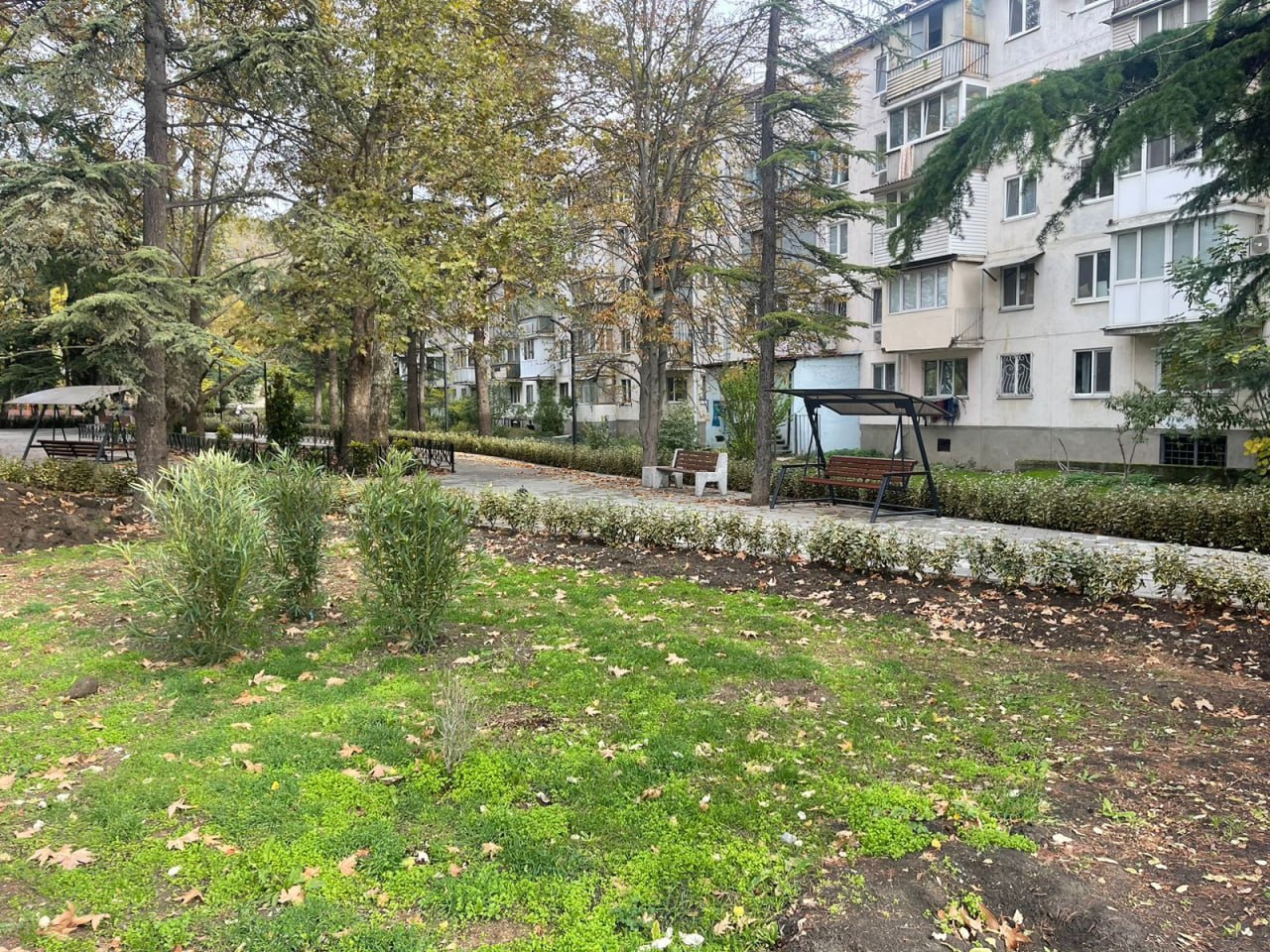 Галина Огнёва: Продолжаем озеленять любимую Алушту! Галина Огнёва: Продолжаем озеленять любимую Алушту!