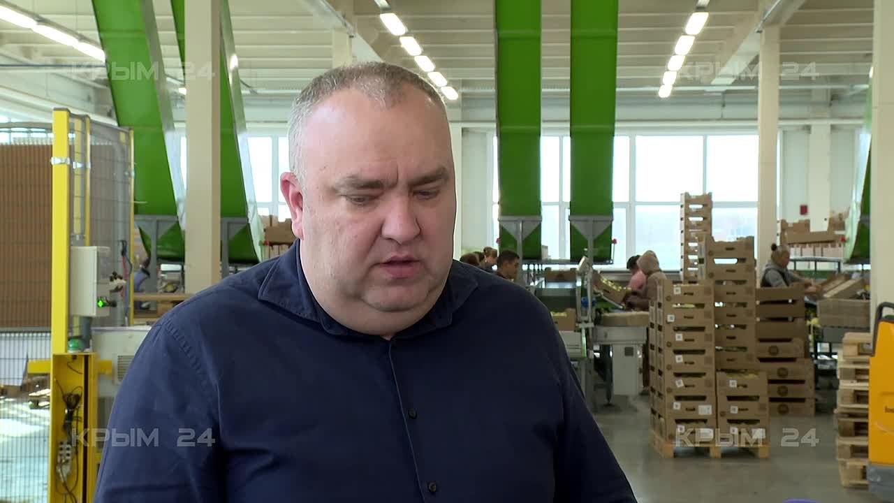 Крымский вкус не повторить: чем местные яблоки отличаются от материковых