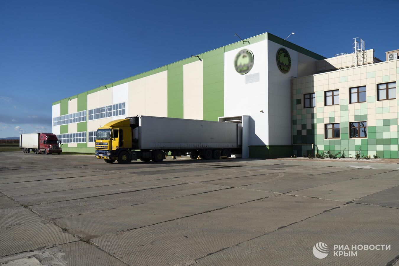 Впадают в спячку: как в Крыму хранят яблоки перед отправкой на материк Впадают в спячку: как в Крыму хранят яблоки перед отправкой на материк