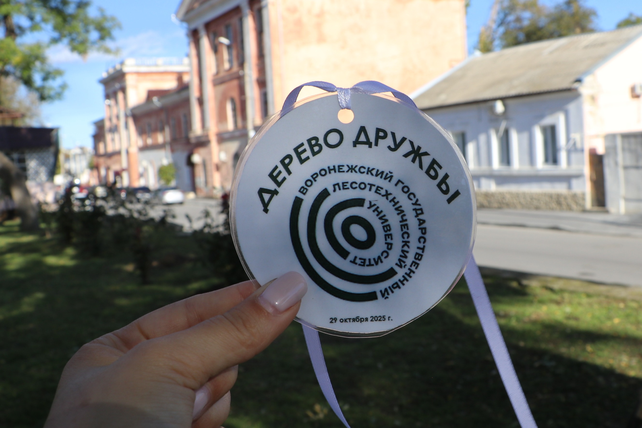 В Феодосии высадили деревья дружбы