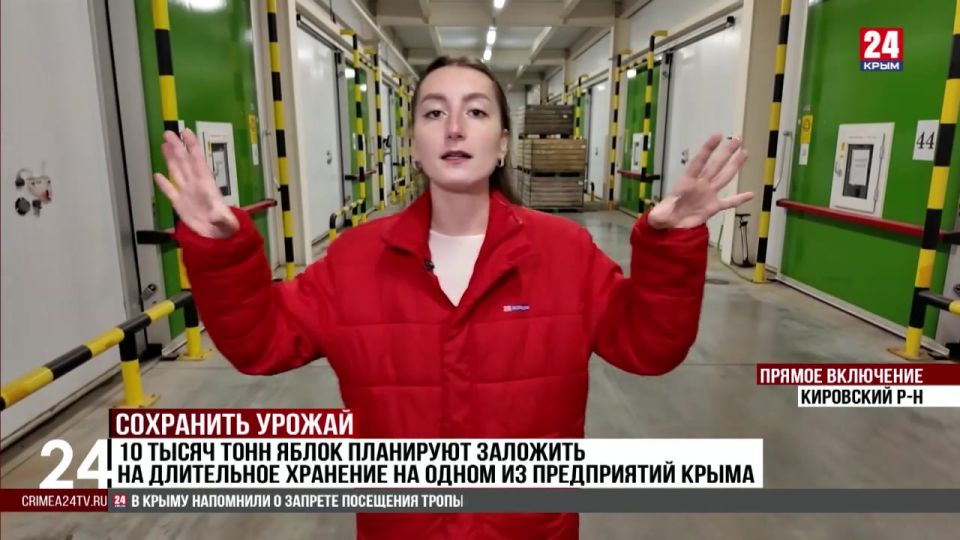 10 тысяч тонн яблок планируют заложить на длительное хранение на одном из предприятий Крыма