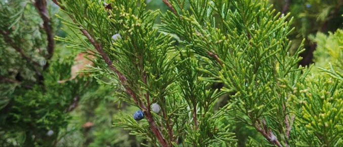 Живописная осенняя Феодосия