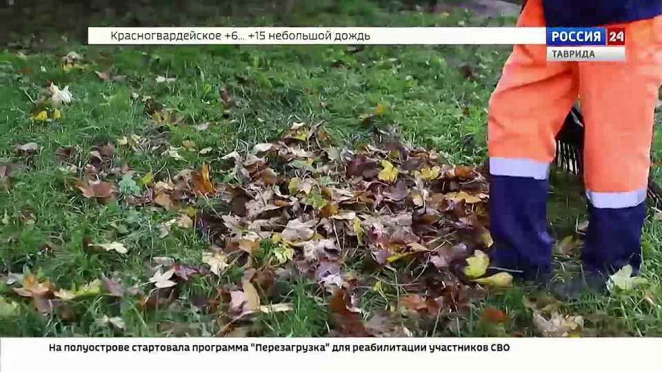 В Симферополе ежедневно убирают и вывозят опавшую листву с городских улиц и общественных территорий
