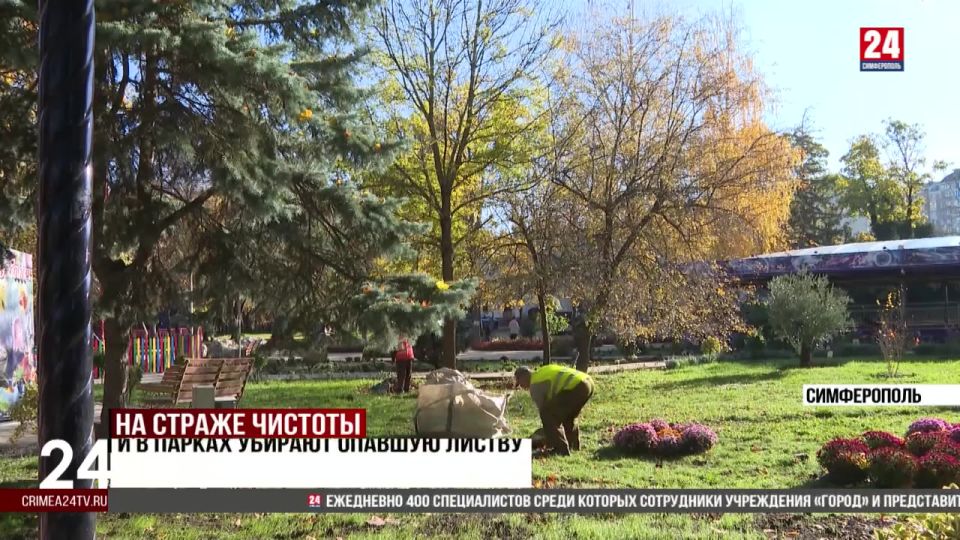 В Симферополе на улицах и в парках убирают опавшую листву