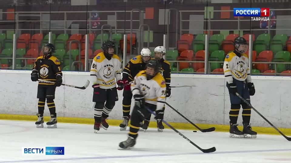 Вести. Спорт: Хоккей. Звуки свистка, шайбы и лёд