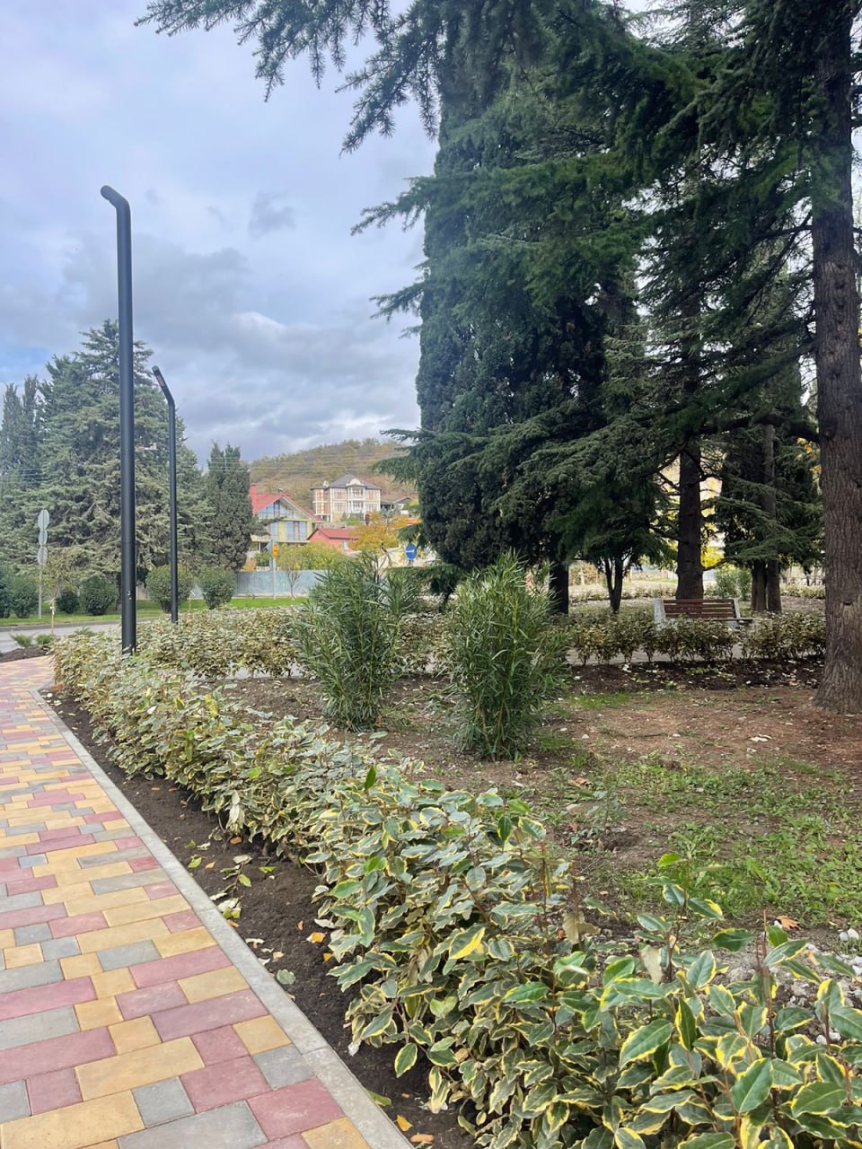 Галина Огнёва: Продолжаем озеленять любимую Алушту! Галина Огнёва: Продолжаем озеленять любимую Алушту!