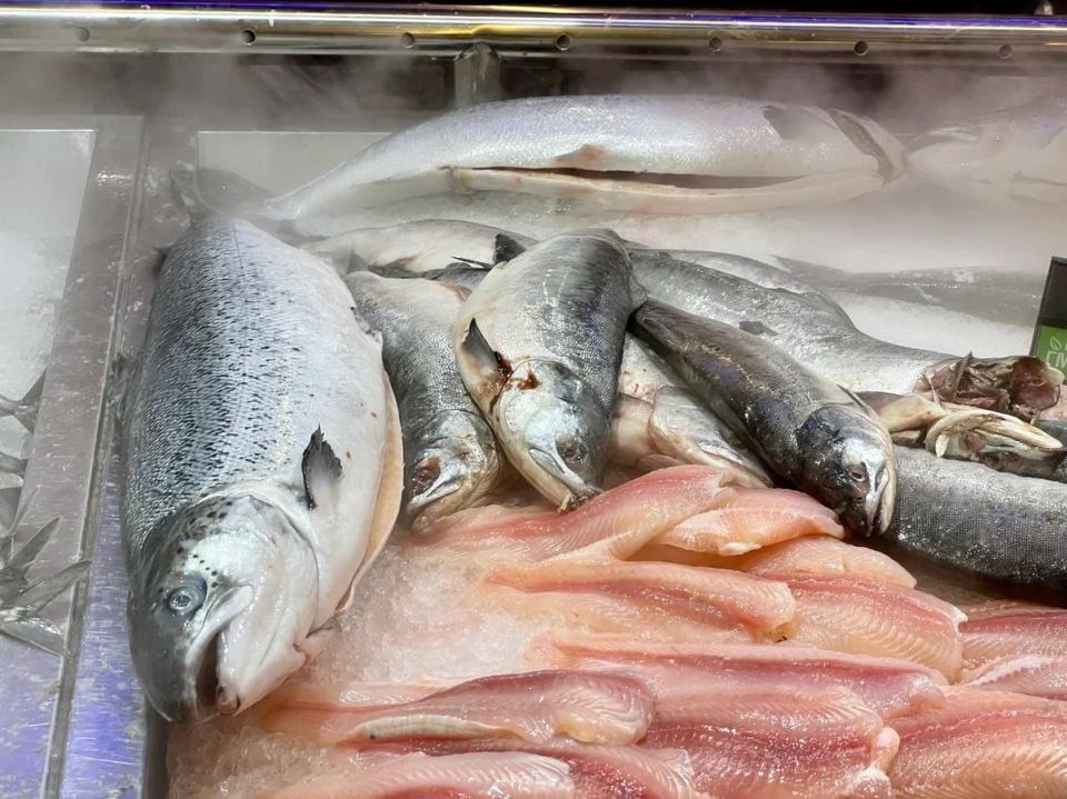 В Крыму прогнозируют снижение цены на хамсу