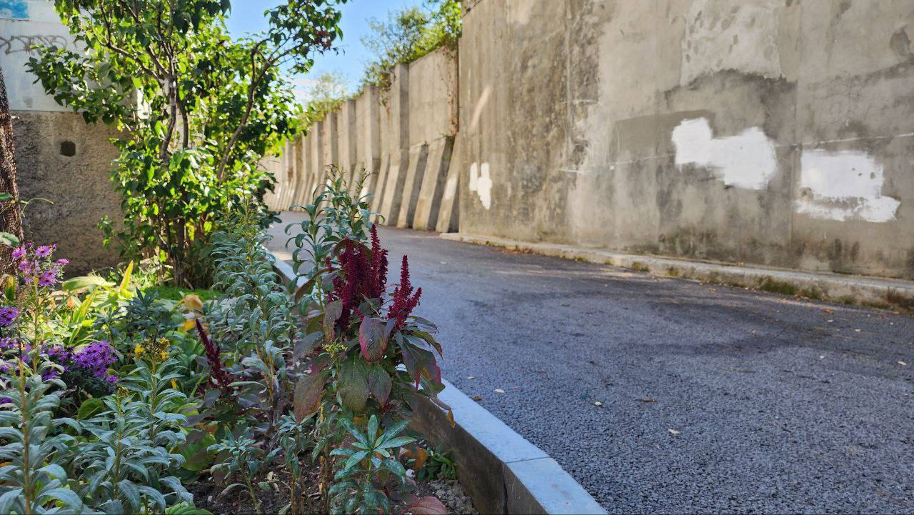 Михаил Развожаев: Севастополь становится комфортнее: с начала года мы привели в порядок более 89 тысяч квадратных метров пешеходных зон и дорог во дворах Михаил Развожаев: Севастополь становится комфортнее: с начала года мы привели в порядок более 89 тысяч квадратных метров пешеходных зон и дорог во дворах