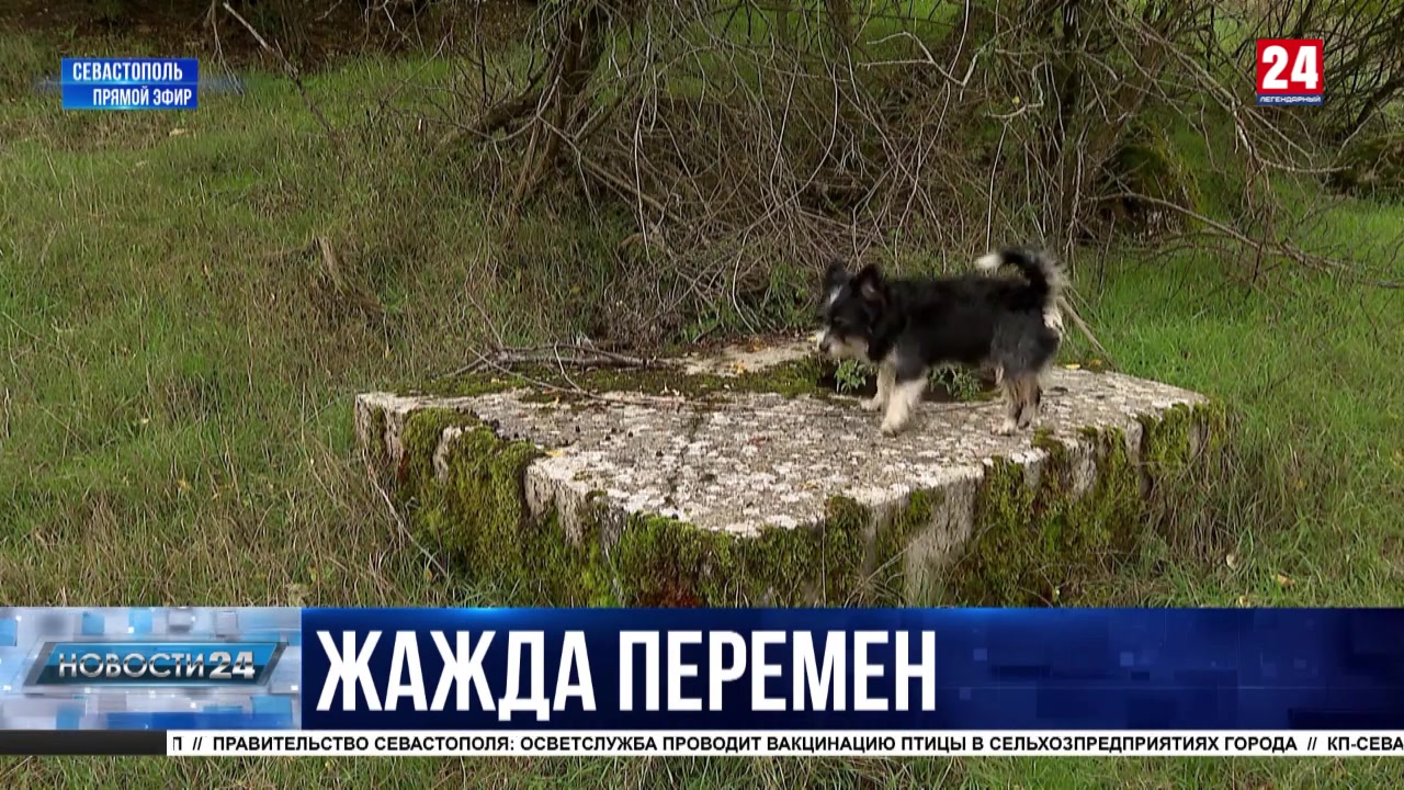 Жители двух севастопольских сёл просят подключить их к центральному водоснабжению