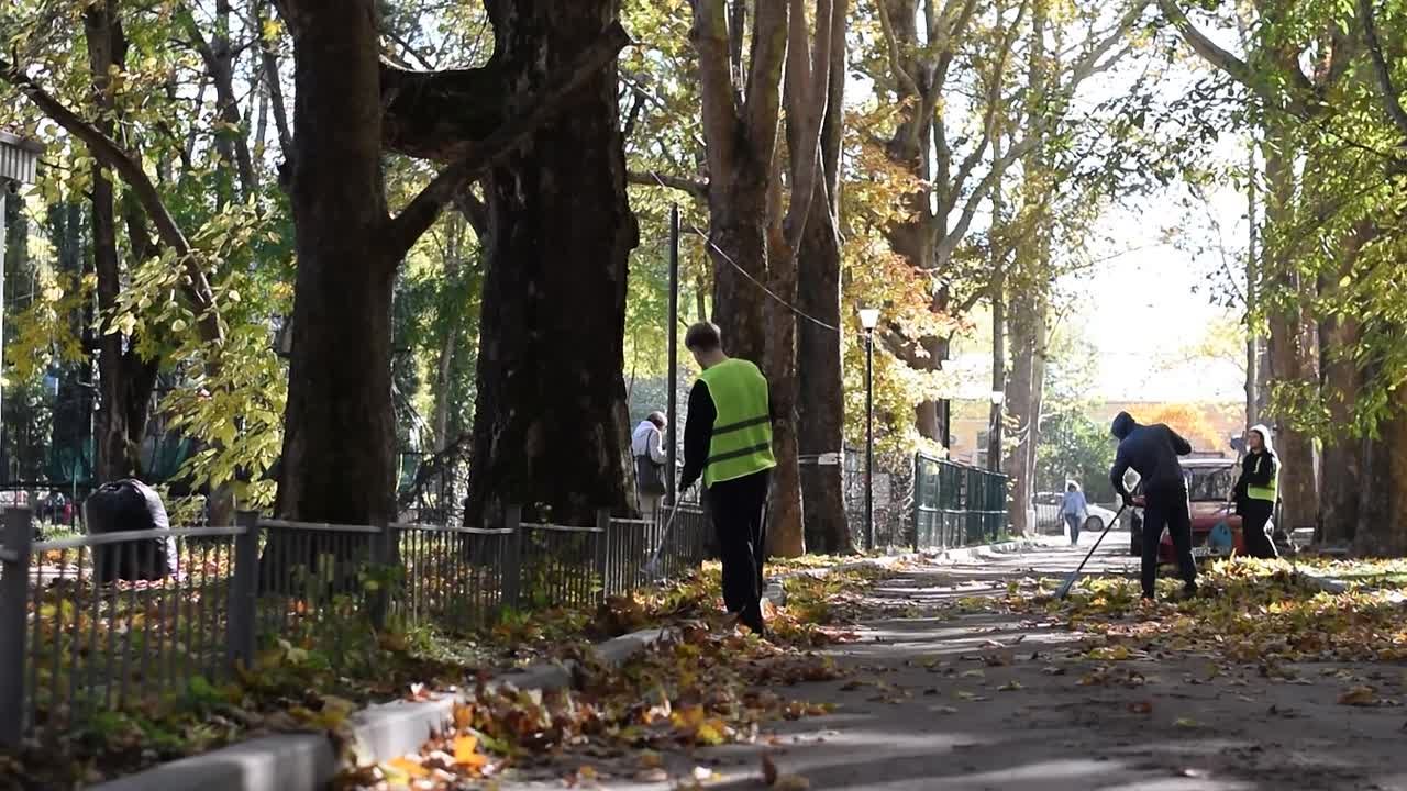 В Симферополе организована временная трудовая занятость студентов и школьников