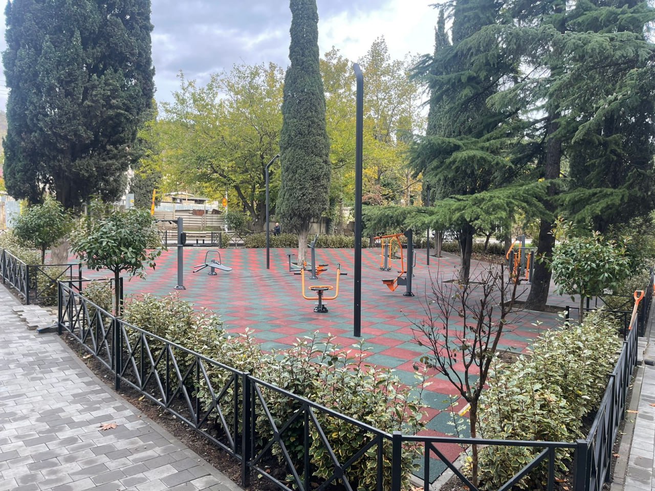 Галина Огнёва: Продолжаем озеленять любимую Алушту! Галина Огнёва: Продолжаем озеленять любимую Алушту!