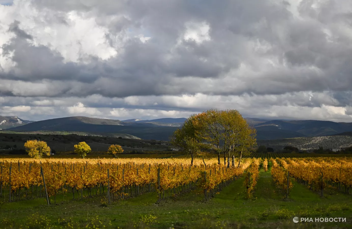 Золото, бронза и медь: цвета осени в Крыму Золото, бронза и медь: цвета осени в Крыму