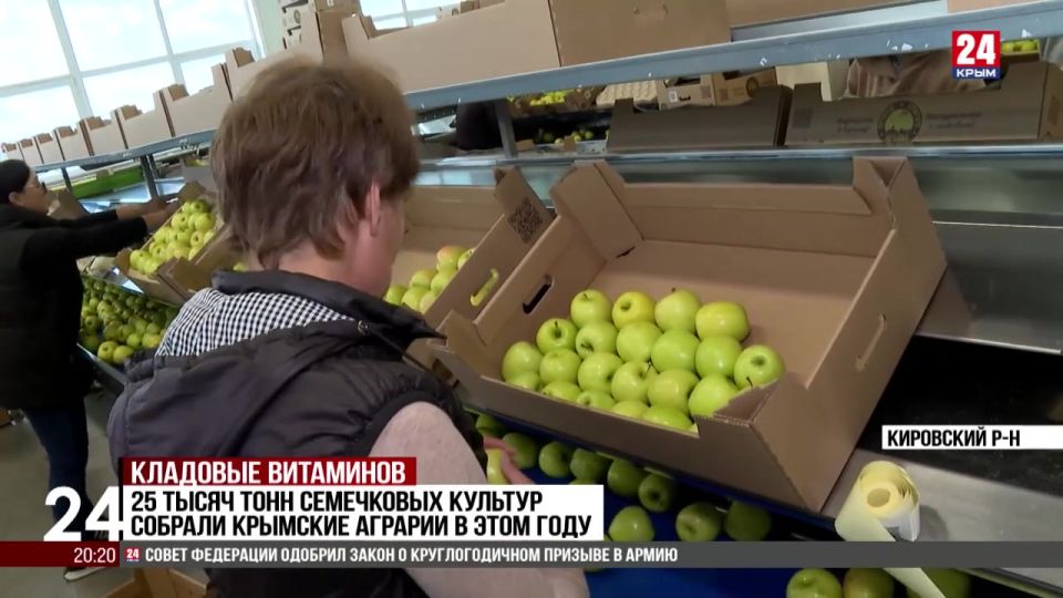 25 тысяч тонн семечковых культур собрали крымские аграрии в этом году