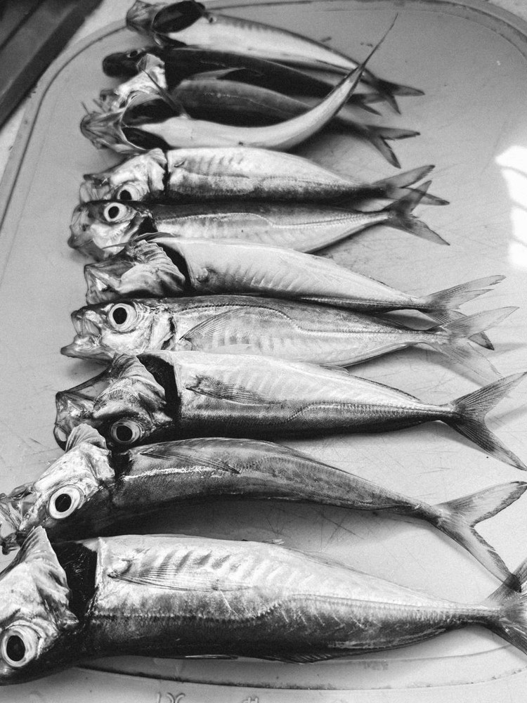 Туристы ищут рыбу, а находят гамбургеры: почему в Крыму хамса «золотая» Туристы ищут рыбу, а находят гамбургеры: почему в Крыму хамса «золотая»