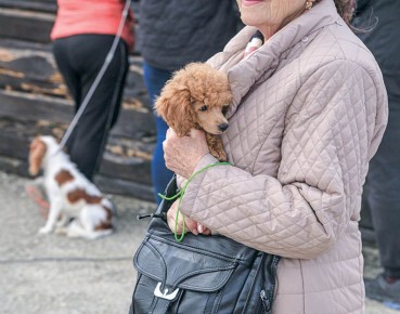 Как домашние животные помогают справляться с тревожностью и стрессом