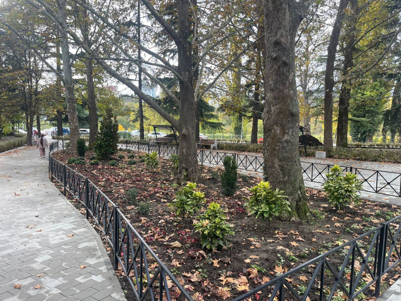 Галина Огнёва: Продолжаем озеленять любимую Алушту! Галина Огнёва: Продолжаем озеленять любимую Алушту!