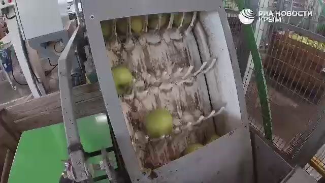 Сбор урожая важен, но без правильного хранения этот труд будет пустым