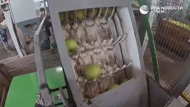 Сбор урожая важен, но без правильного хранения этот труд будет пустым