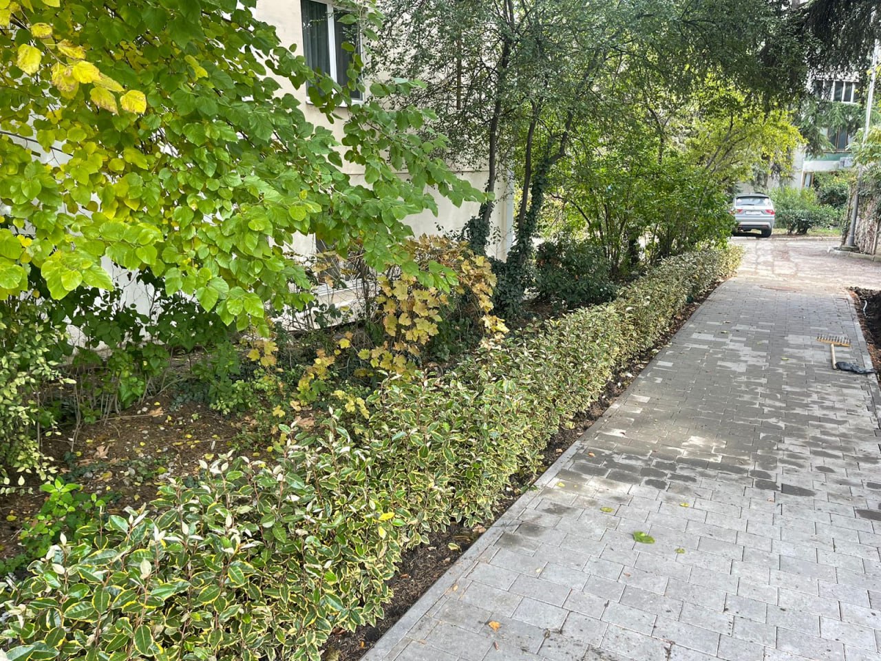 Галина Огнёва: Продолжаем озеленять любимую Алушту! Галина Огнёва: Продолжаем озеленять любимую Алушту!