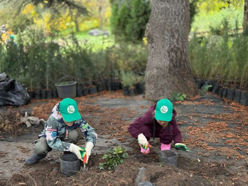 Юные экологи из школы «Экотех» посадили дубы в лесном питомнике Юные экологи из школы «Экотех» посадили дубы в лесном питомнике
