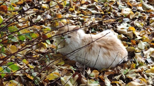   30  2025     :    18 