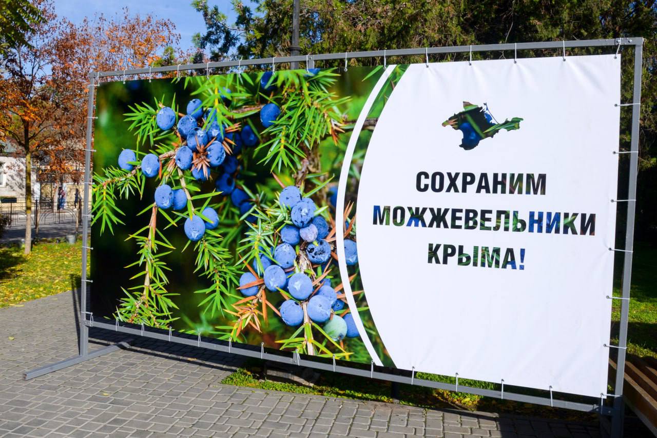 Александр Юрьев: Сегодня вместе с министром экологии и природных ресурсов РК Ольгой Шевцовой и ребятами из школьных лесничеств Республики Крым высадили 42 можжевельника казацкого на ул. Дувановской и ул. Бартенева Александр Юрьев: Сегодня вместе с министром экологии и природных ресурсов РК Ольгой Шевцовой и ребятами из школьных лесничеств Республики Крым высадили 42 можжевельника казацкого на ул. Дувановской и ул. Бартенева