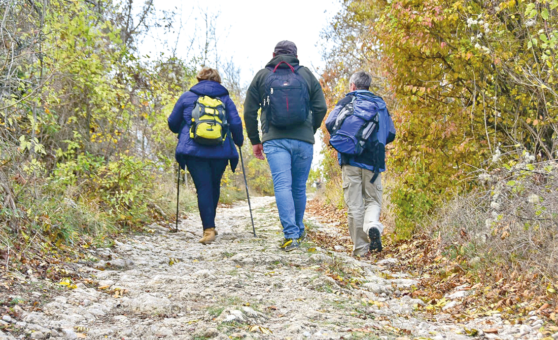 Правда ли, что следует делать не менее 10 000 шагов в день, и о каких проблемах со здоровьем может рассказать походка