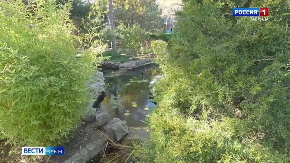 В одном из крымских санаториев реабилитацию проходят бойцы СВО в рамках федерального проекта «Перезагрузка»