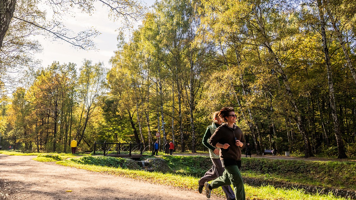 Не 10 тысяч, а семь: крымский врач назвал идеальную норму шагов в день