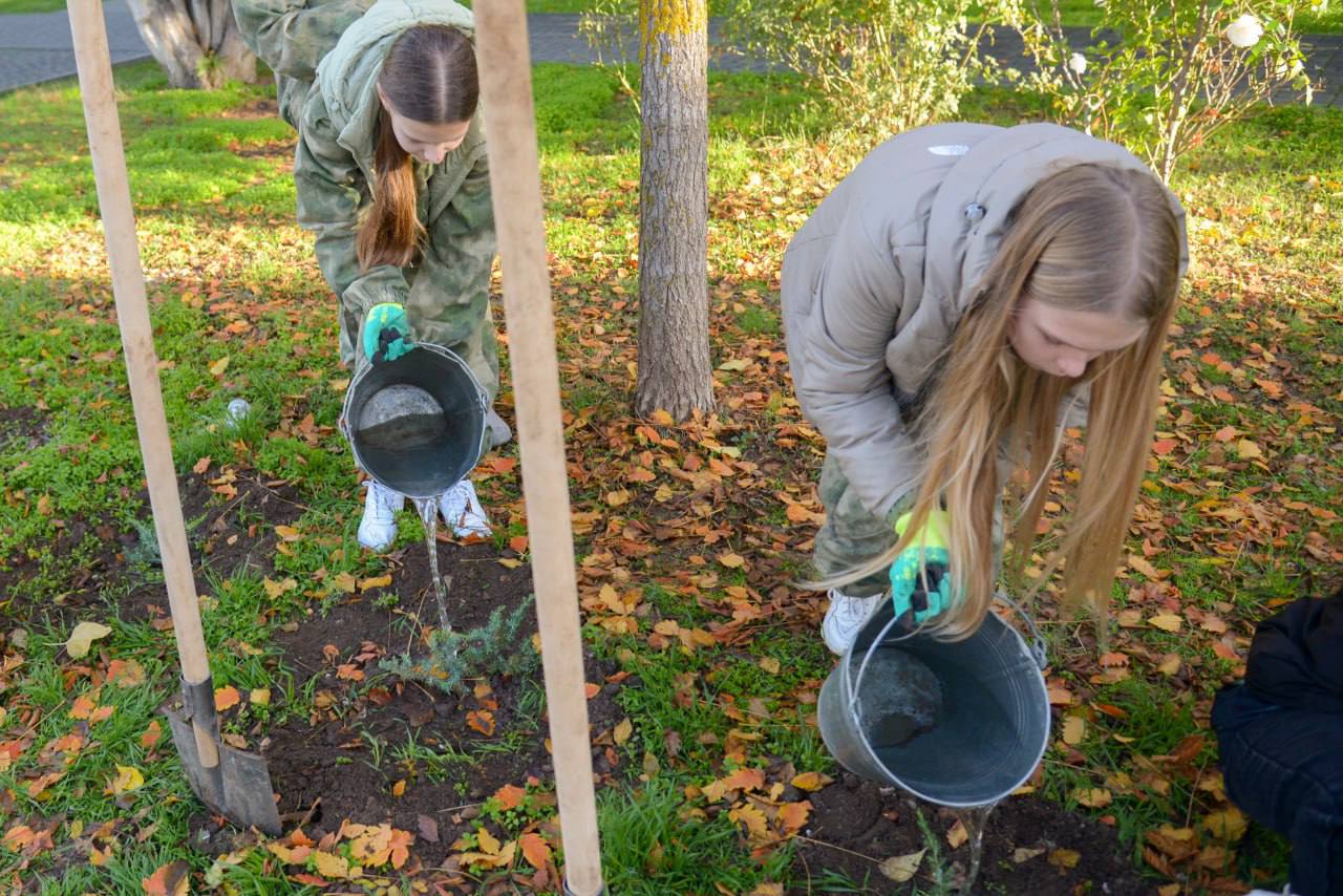 Александр Юрьев: Сегодня вместе с министром экологии и природных ресурсов РК Ольгой Шевцовой и ребятами из школьных лесничеств Республики Крым высадили 42 можжевельника казацкого на ул. Дувановской и ул. Бартенева Александр Юрьев: Сегодня вместе с министром экологии и природных ресурсов РК Ольгой Шевцовой и ребятами из школьных лесничеств Республики Крым высадили 42 можжевельника казацкого на ул. Дувановской и ул. Бартенева