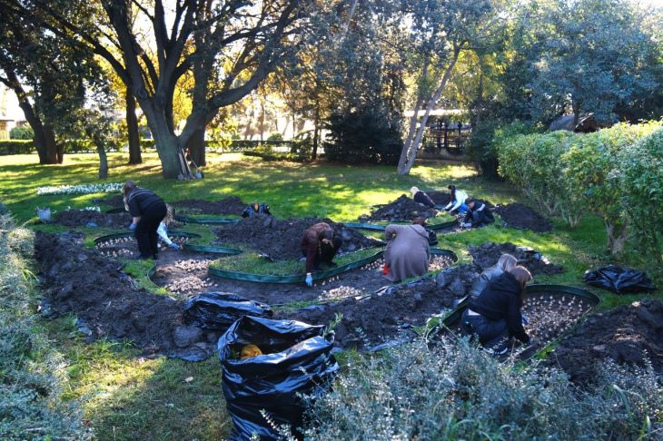 В Ялте высадят более 90 тысяч цветов