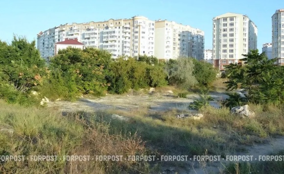 Суд в Севастополе оставил землю с краснокнижными фисташками за городом Суд в Севастополе оставил землю с краснокнижными фисташками за городом