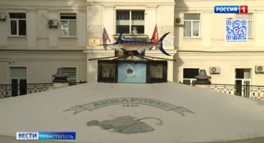 Программа "Вести. Утро" поздравляет Севастопольский морской аквариум с Днём рождения!