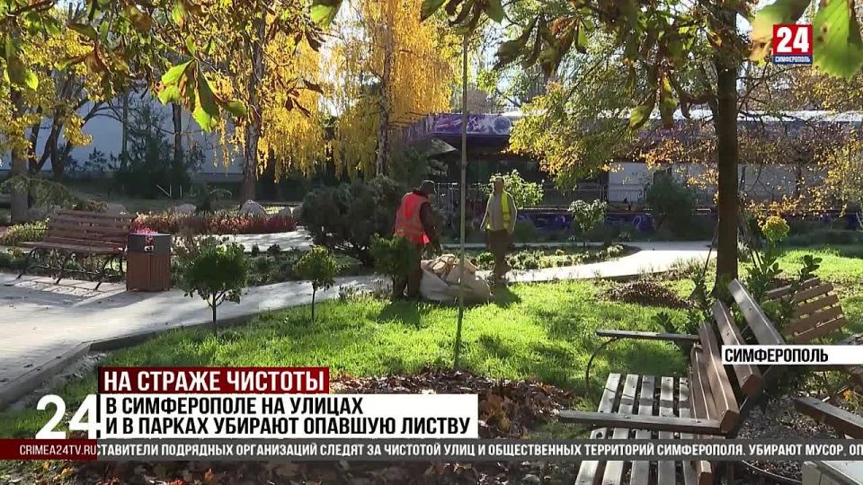 В Симферополе на улицах и в парках убирают опавшую листву
