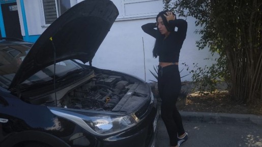 Если кот забрался под капот: крымские автомобилисты рассказали, что делать с пушистыми «пассажирами»