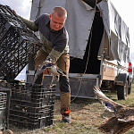 100 фазанов и 250 уток выпустили в охотничьи угодья Крыма 100 фазанов и 250 уток выпустили в охотничьи угодья Крыма