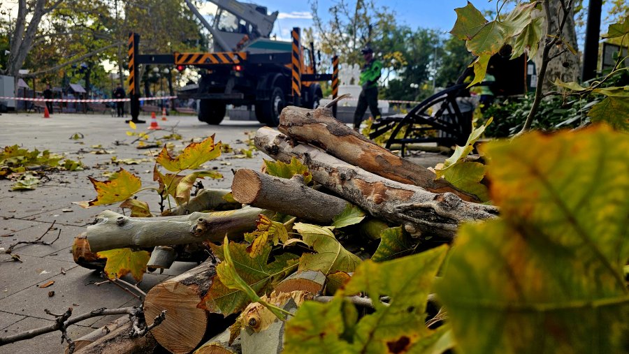 Коммунальщики готовятся к сезону ветров Коммунальщики готовятся к сезону ветров