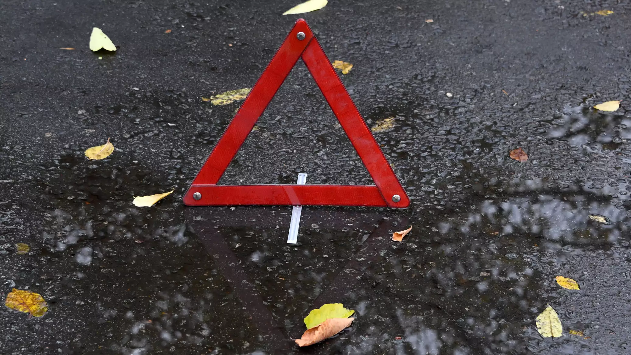 Автобус насмерть сбил велосипедистку в Красногвардейском районе Крыма