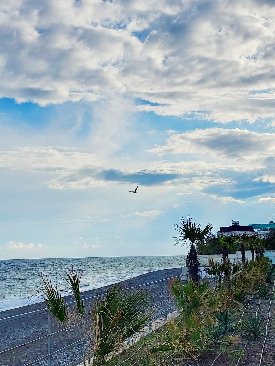 Галина Огнёва: Друзья! Сегодня — Международный день Черного моря! Галина Огнёва: Друзья! Сегодня — Международный день Черного моря!