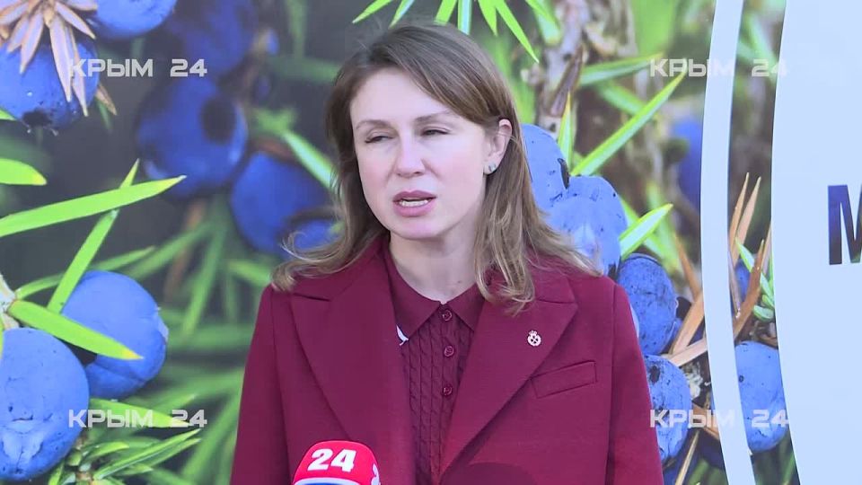 Шевцова сообщила о масштабной высадке деревьев и восстановлении лесов в Крыму