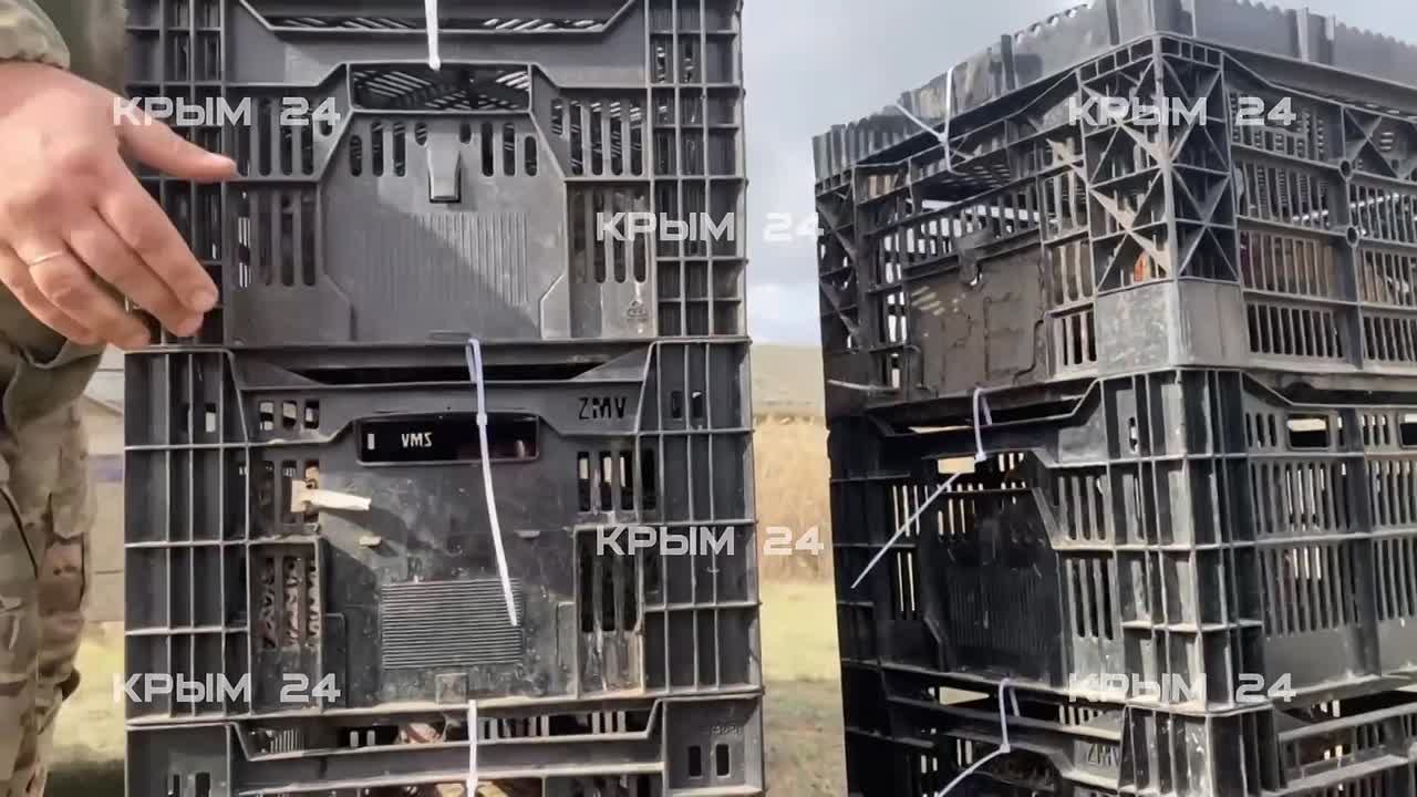 Фазанов и уток выпустили в охотничьи угодья на западе Крыма