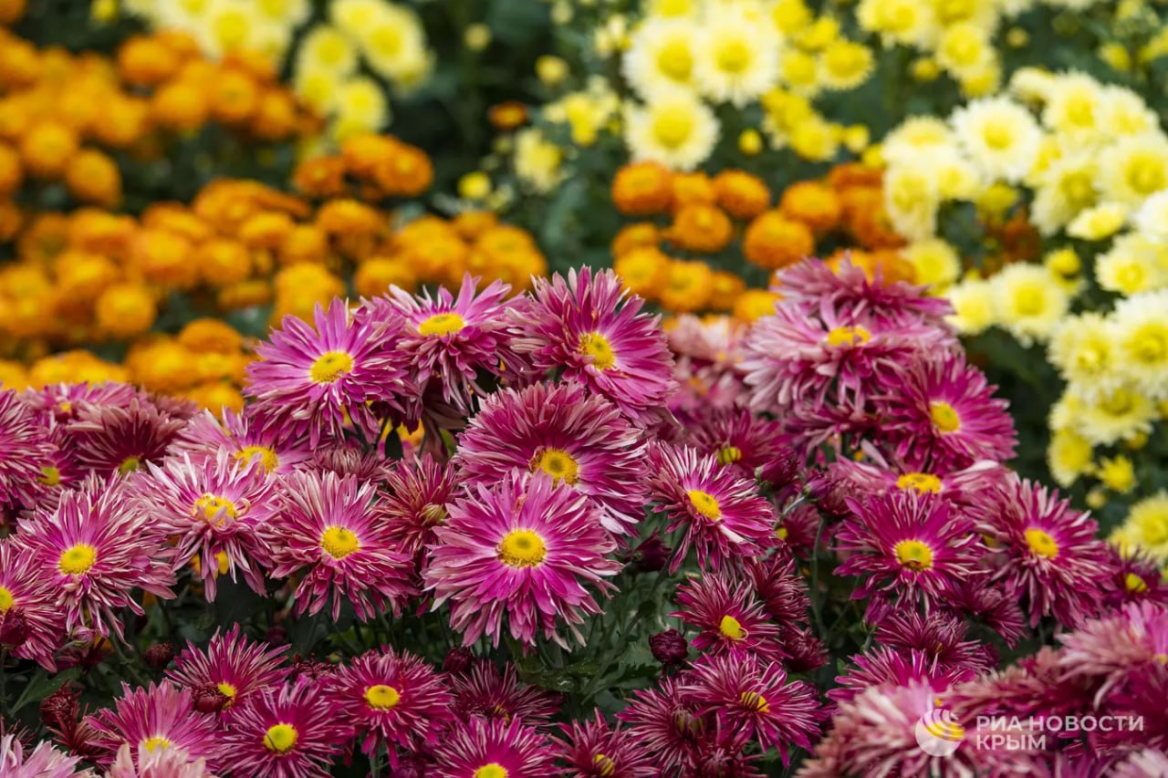 Прощай, октябрь! Пора подводить итоги: