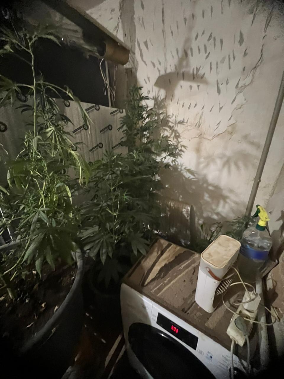 Ссора с бывшей привела к уголовному делу Ссора с бывшей привела к уголовному делу