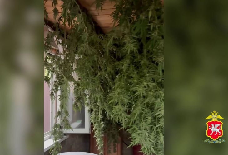 Здоровье уже не то: 69-летний симферополец хранил 21 кг марихуаны в лечебных целях